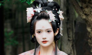 兔子Zzz不吃胡萝卜